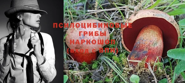 прущие грибы Верхний Тагил