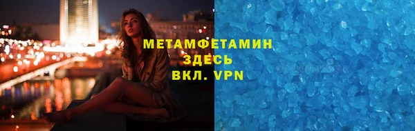 прущие грибы Верхний Тагил