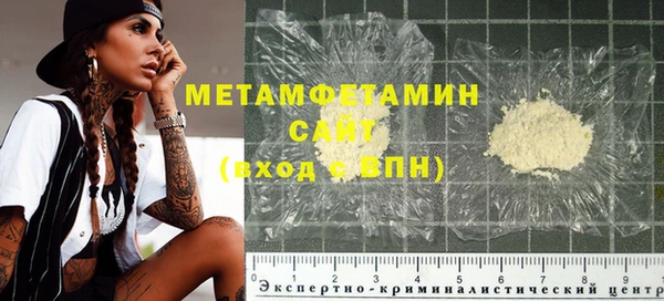прущие грибы Верхний Тагил