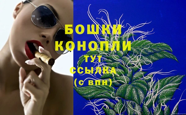 прущие грибы Верхний Тагил