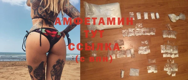 прущие грибы Верхний Тагил