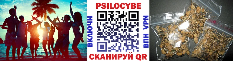Галлюциногенные грибы GOLDEN TEACHER  Голицыно 